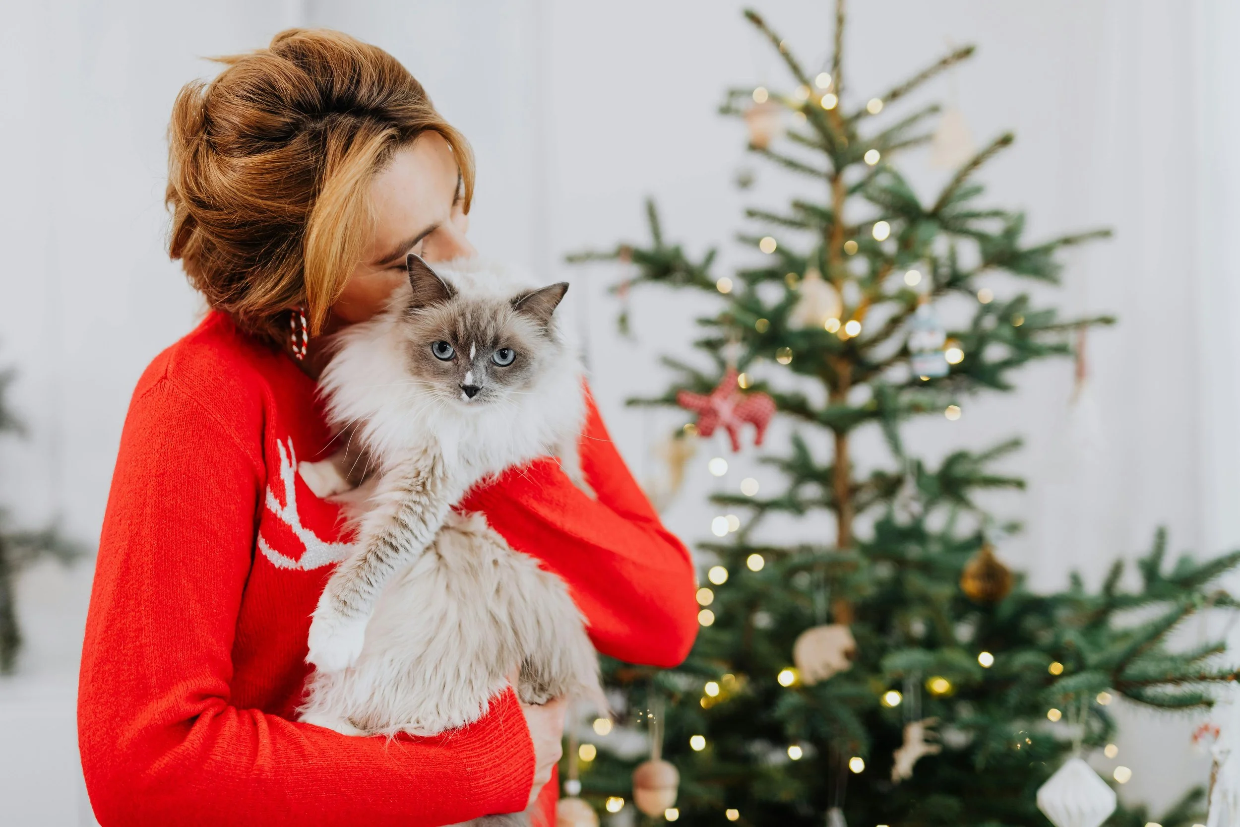 Meowy Christmas 2025: The Ultimate Gift Guide for Your Tiny Feline
